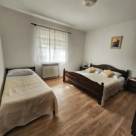 Apartment Plejic *