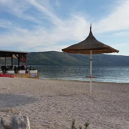 Plejic * Seget Vranjica