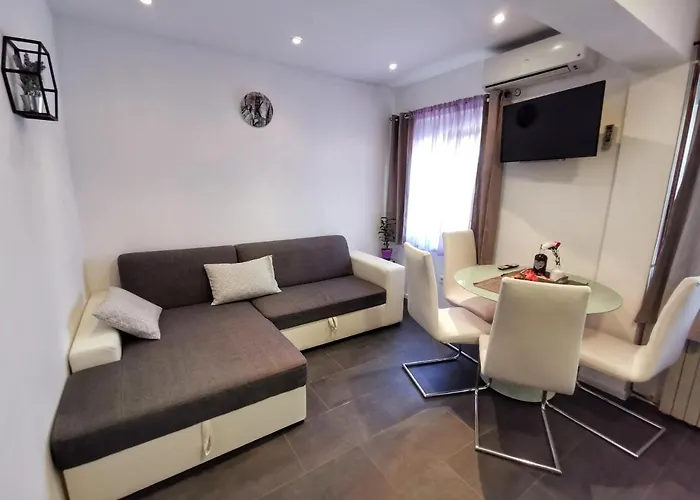 Plejic Daire Seget Vranjica