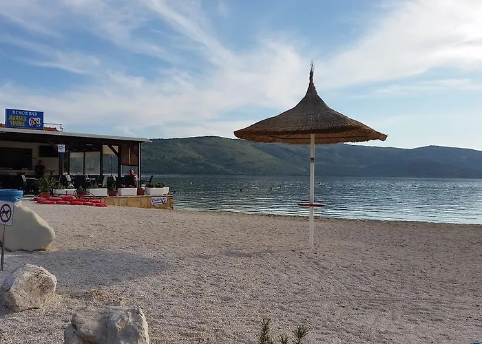 Plejic * Seget Vranjica